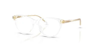 Dolce & Gabbana Eyeglasses DX3002