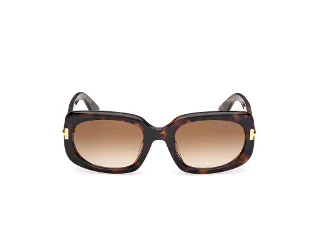 Tom Ford Icon Sunglasses FT1253-F
