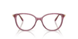 Swarovski Eyeglasses SK2070F