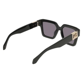 Salvatore Ferragamo Sunglasses SF2084S