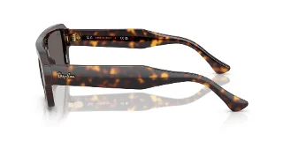 Ray Ban Sunglasses RB4454