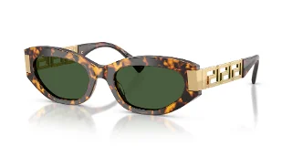 551471 Brown Tortoise