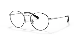 9373 Shiny Silver / Black