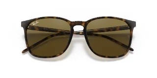 Ray Ban Sunglasses RB4387