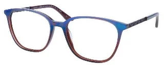 Steve Madden Eyeglasses DALEY