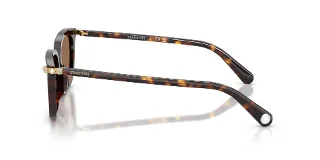 Swarovski Sunglasses SK6064D