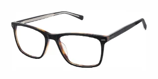 Ted Baker Eyeglasses TM021