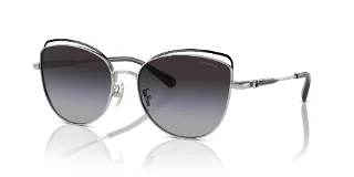 90018G Shiny Silver/Black