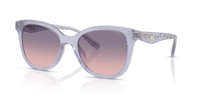 Coach Sunglasses HC8419U