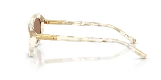 Dolce & Gabbana Sunglasses DG4519