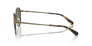 Coach Sunglasses HC7163