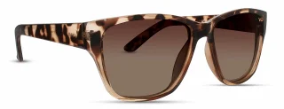 INVU Sunglasses INVU-108