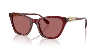 107369 Transparent Burgundy
