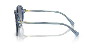 Swarovski Sunglasses SK6003