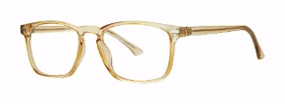 Modern Plastics I Eyeglasses QUAINT