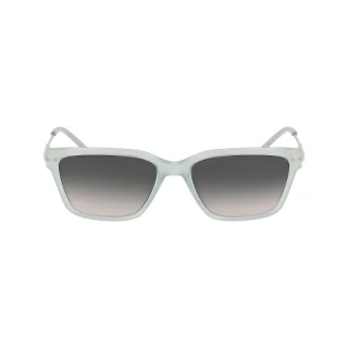 Dkny Sunglasses DK713S