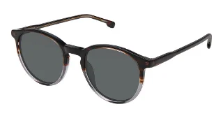 S402-Sfs-2042 Tortoise Grey