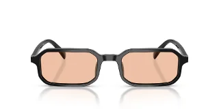 Emporio Armani Sunglasses EA4253U