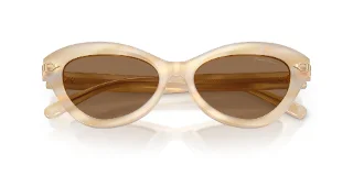 Ralph Lauren Sunglasses RL8236U