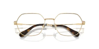 Swarovski Eyeglasses SK1011