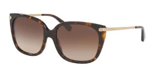 512013 Dark Tortoise