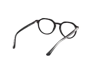 Web Eyeglasses WE5427