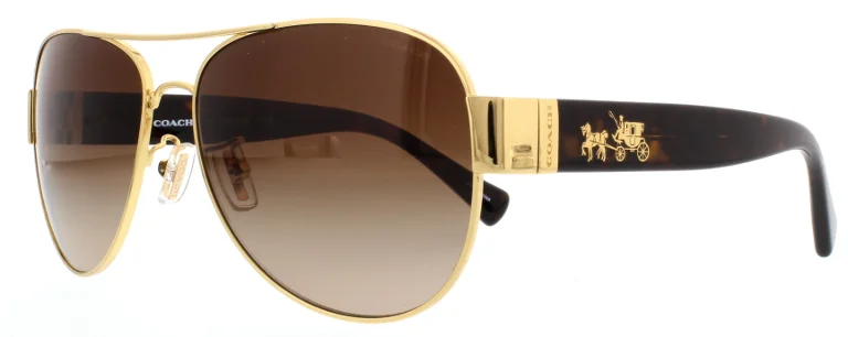 Coach Sunglasses HC7059 L138
