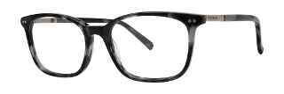 Black Tortoise