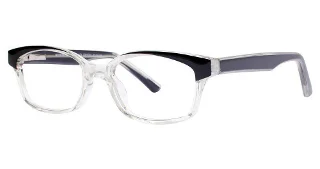 Modern Plastics II Eyeglasses BASHFUL
