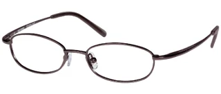 Harley Davidson Eyeglasses HD 313