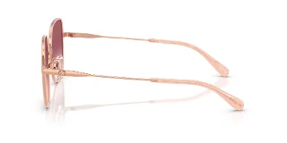 Coach Sunglasses HC7180D