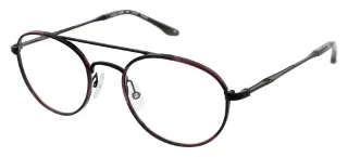 Bcbgmaxazria Eyeglasses TENLEY