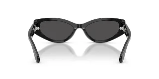 Swarovski Sunglasses SK6045U