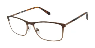 D70 BROWN