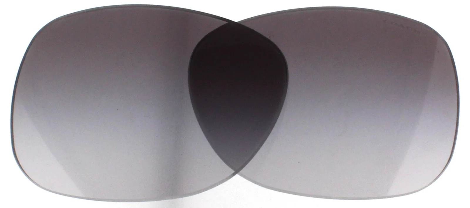 Coach Replacement Lenses HC8179F
