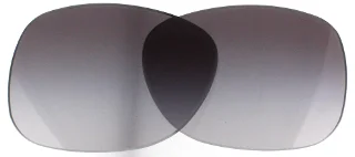 Coach Replacement Lenses HC8179F