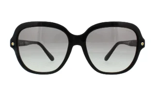 Coach Sunglasses HC8192 L1613