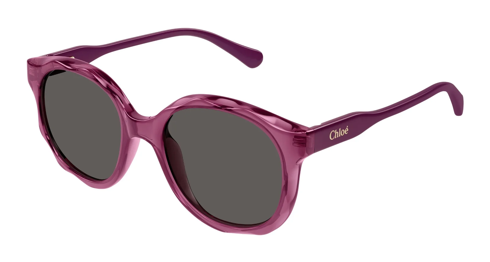 Chloe Sunglasses CC0019S
