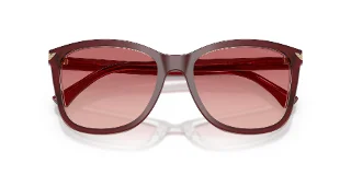 Emporio Armani Sunglasses EA4060