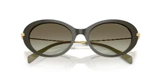 Michael Kors Sunglasses MK2245U