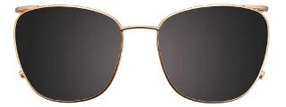 Easyclip Eyeglasses EC519