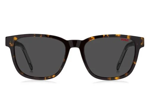 Hugo Sunglasses HG 1243/S