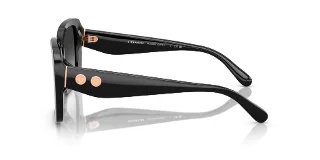 Coach Sunglasses HC8424F