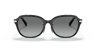 Coach Sunglasses HC8332D