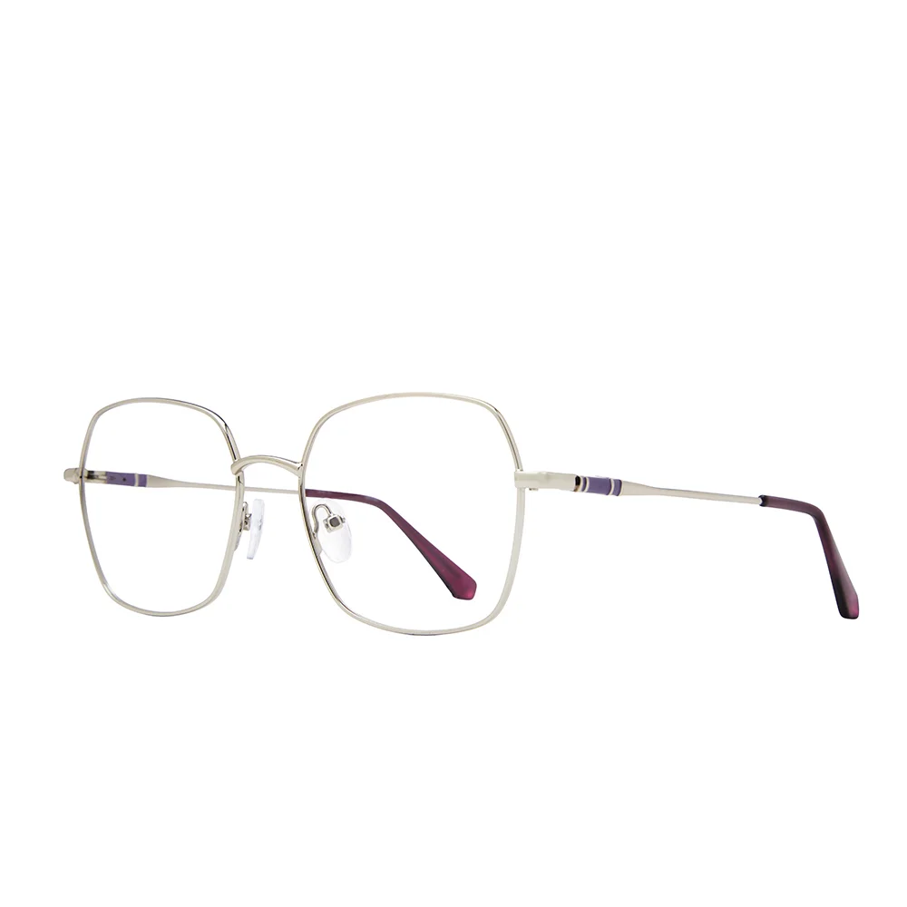 Stylewise Eyeglasses SW464
