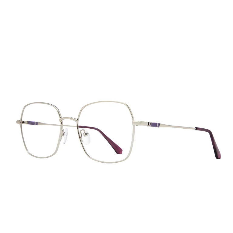 Stylewise Eyeglasses SW464