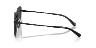 Coach Sunglasses HC7184D