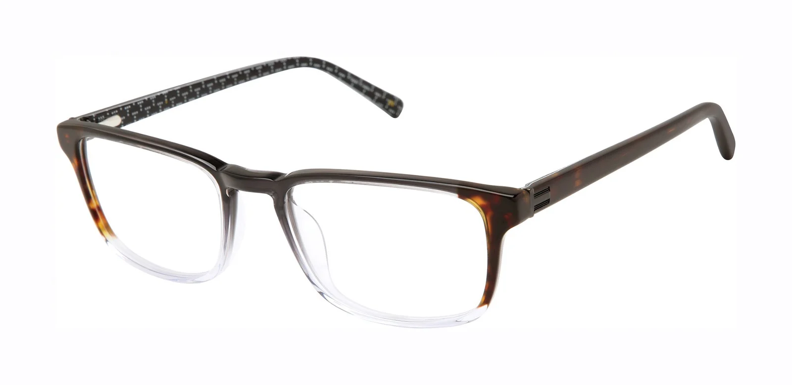 Ted Baker Eyeglasses TM019