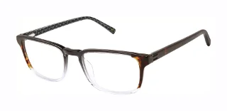 Ted Baker Eyeglasses TM019