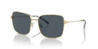334987 Shiny Light Gold